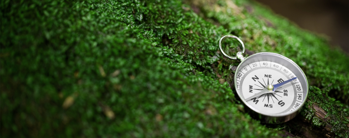 Nele Honecker, Coaching